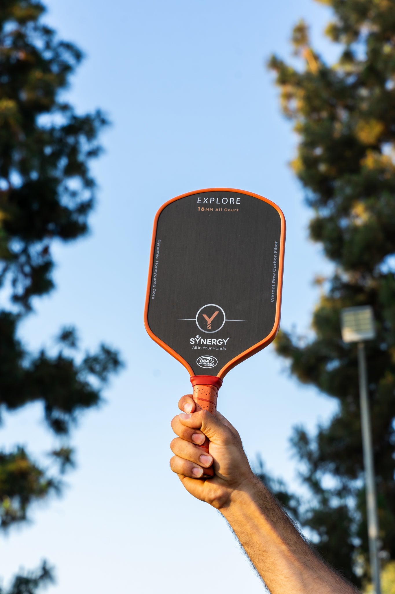 SYNERGY EXPLORE 16mm All Court Paddle Premium Set <> CROWN PICKLEBALL